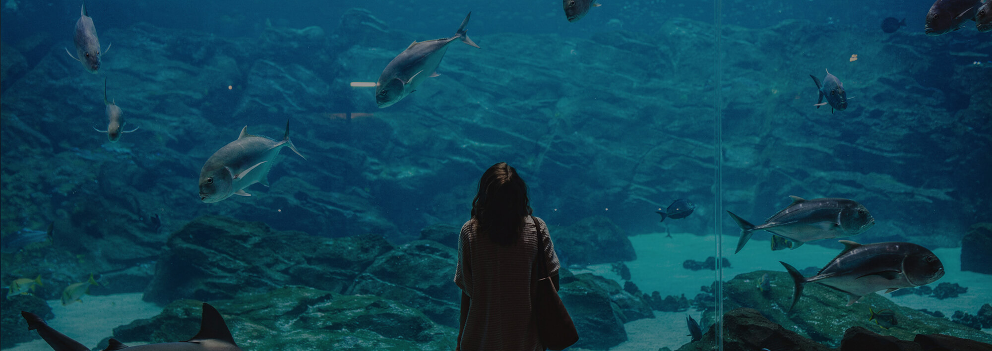 Aquarium du Québec : Une sortie éducative et familiale
