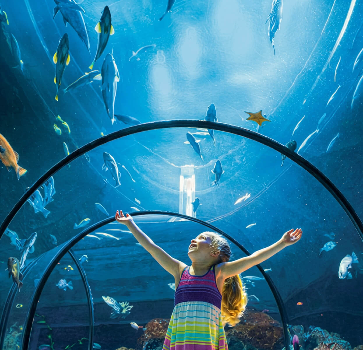 Attractions touristiques de la région de Québec